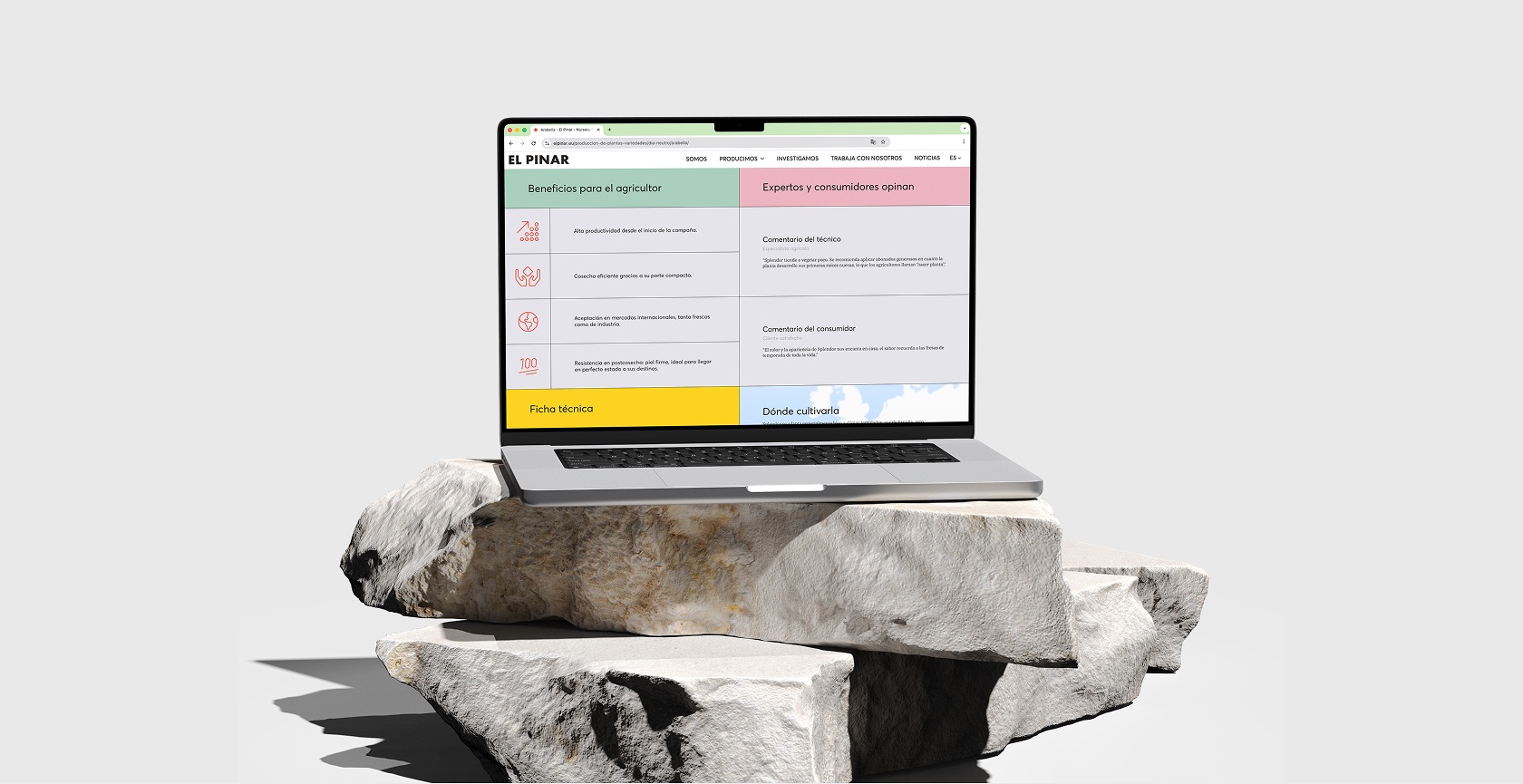 Mockup web de El Pinar en laptop