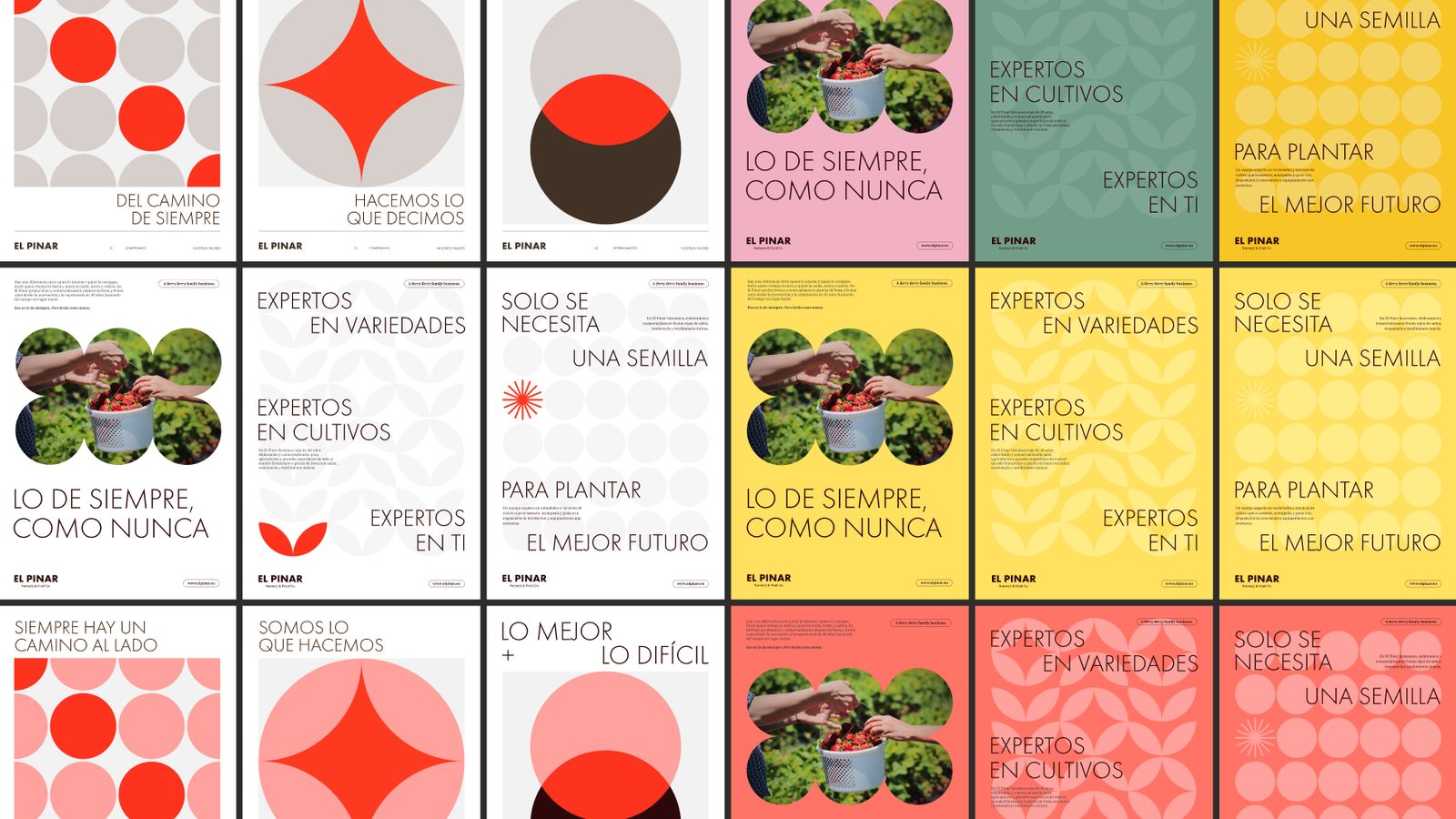 Grid de posters de campaña de El Pinar