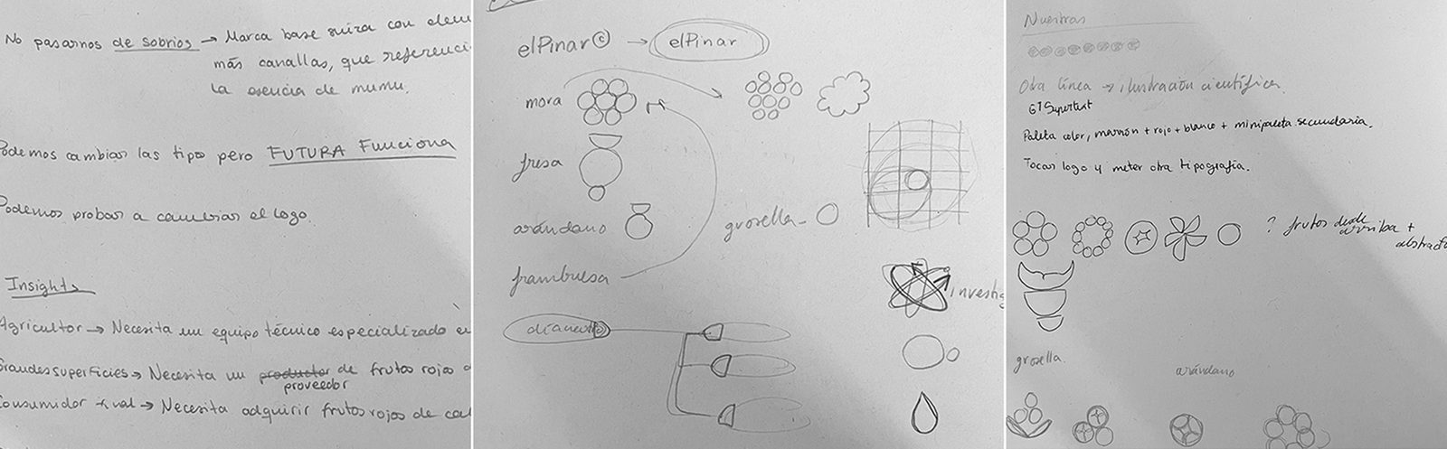 Notas de research, naming e iconografía